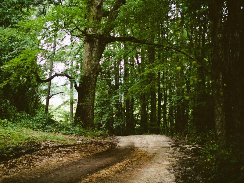 sudoku daily puzzle screenshot 3